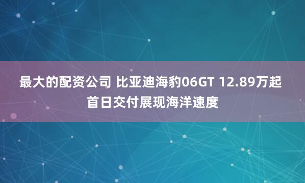 最大的配资公司 比亚迪海豹06GT 12.89万起 首日交付展现海洋速度