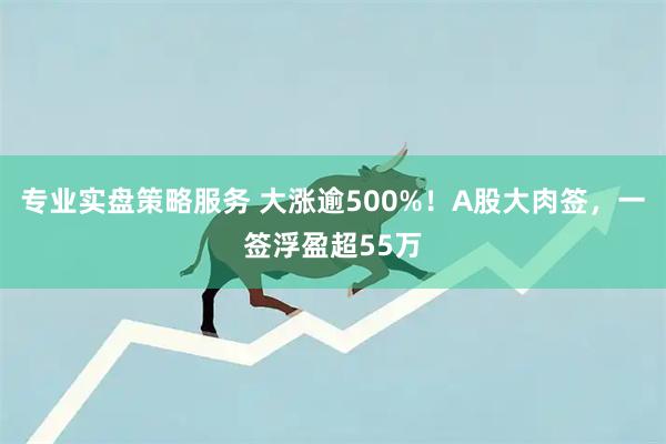 专业实盘策略服务 大涨逾500%！A股大肉签，一签浮盈超55万